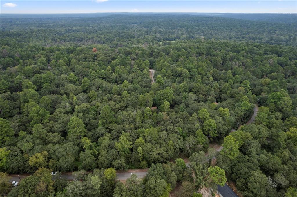 Holly Lake Ranch - Residential