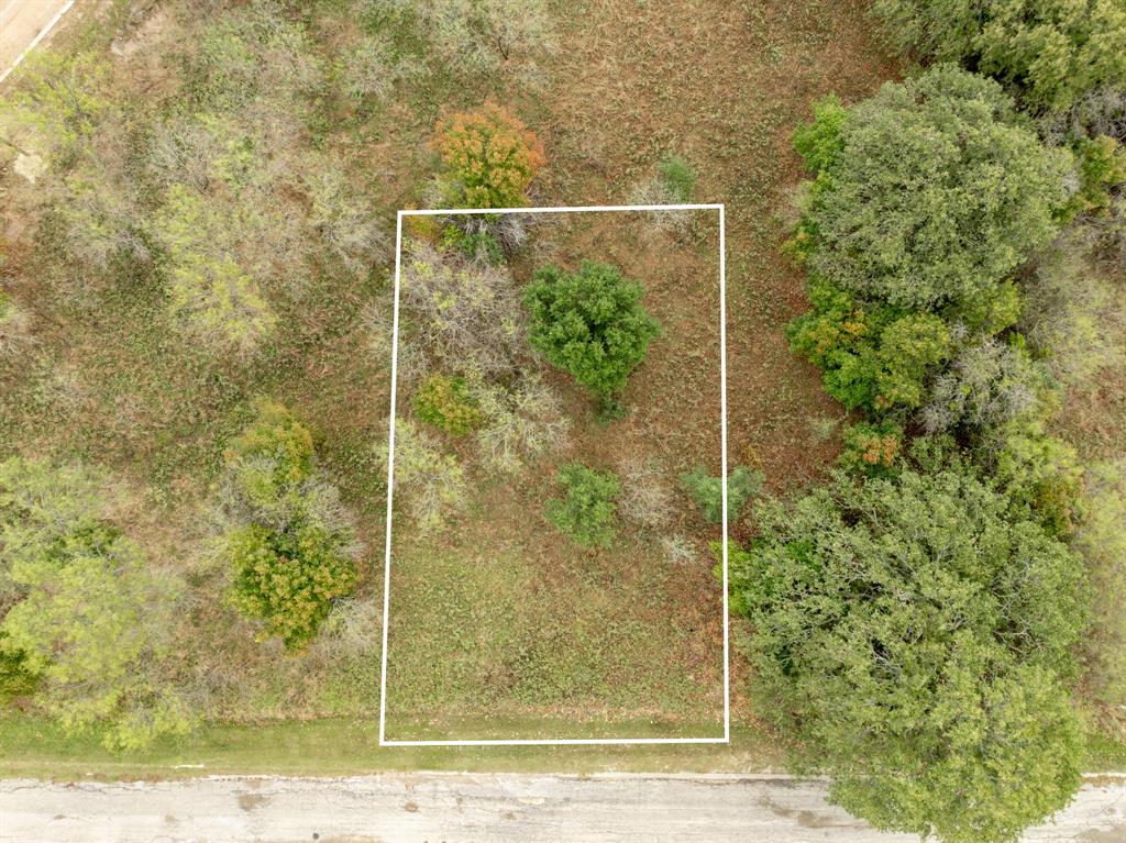 White Bluff #24 - Land