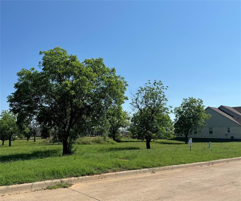 Pecan Plantation - Land