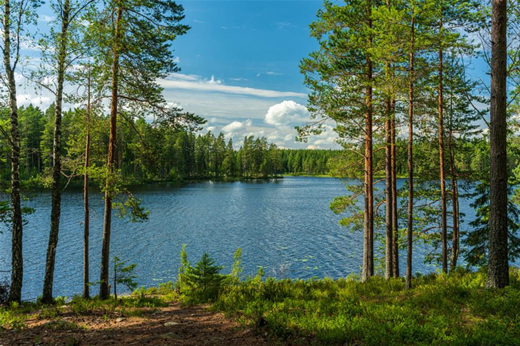 Twin Lakes Resort - Land