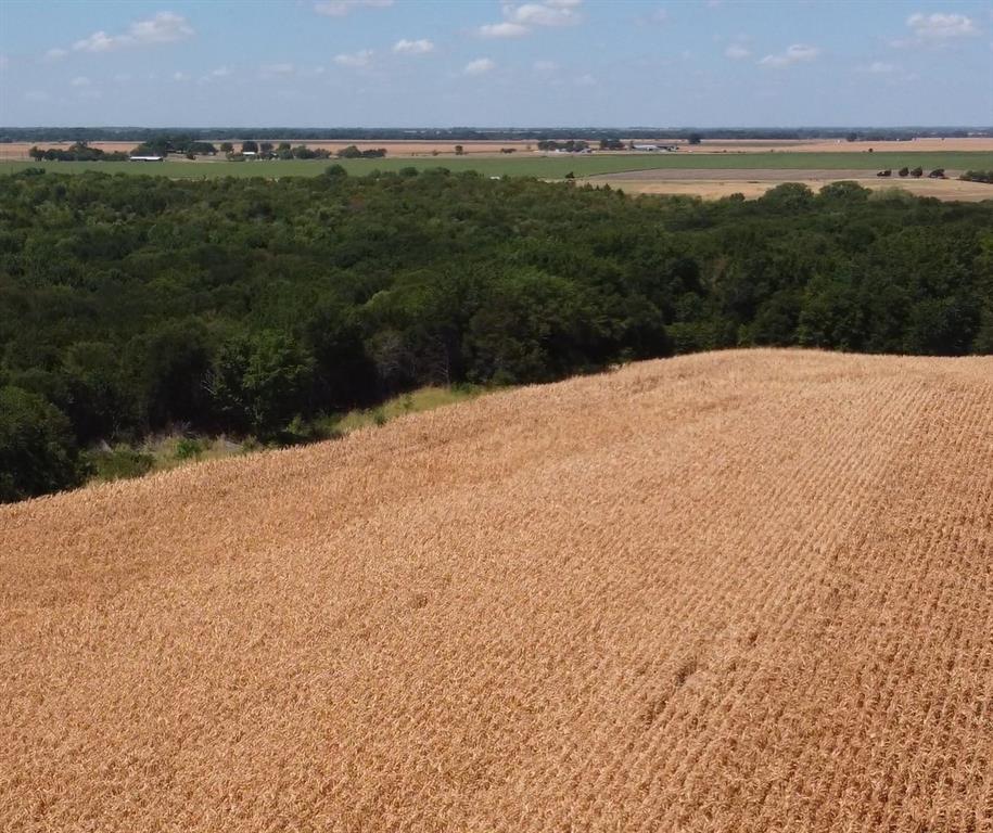 O Sultzbough - Land