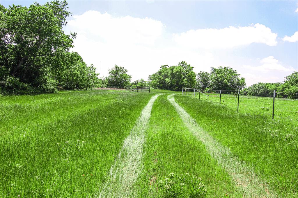 MCADAMS - Land