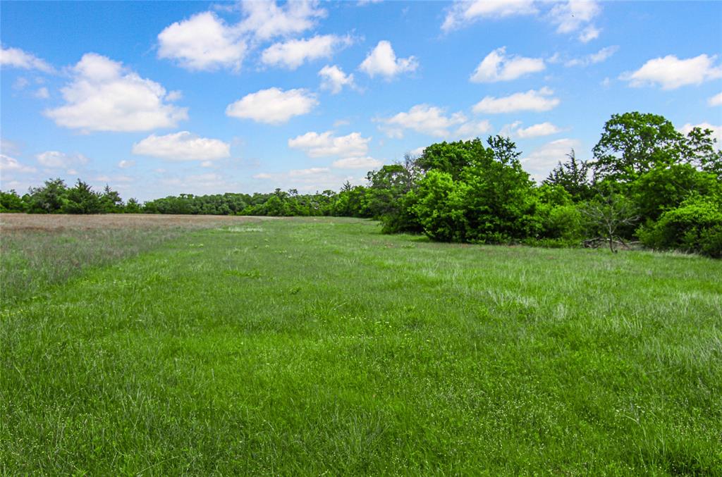 MCADAMS - Land