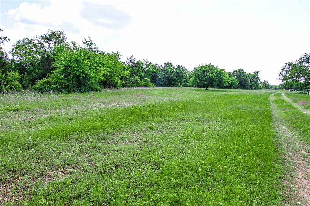 MCADAMS - Land