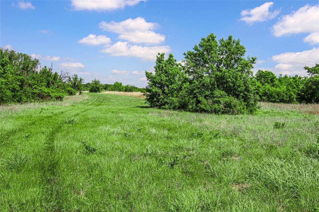 MCADAMS - Land