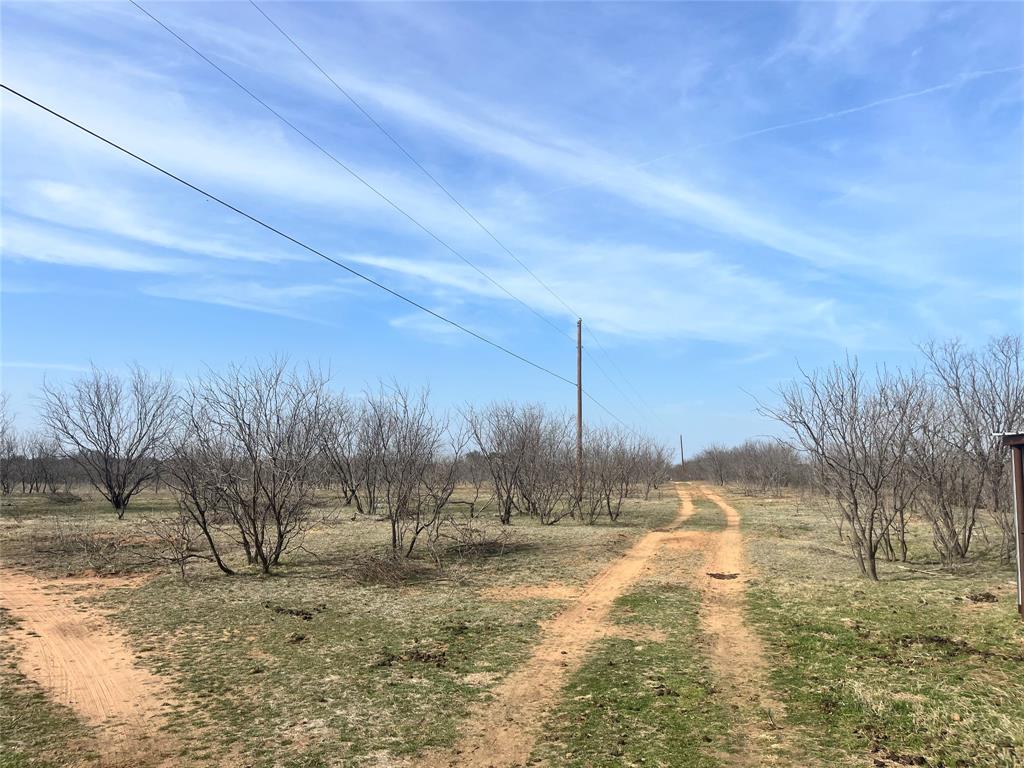 A0703 - Land