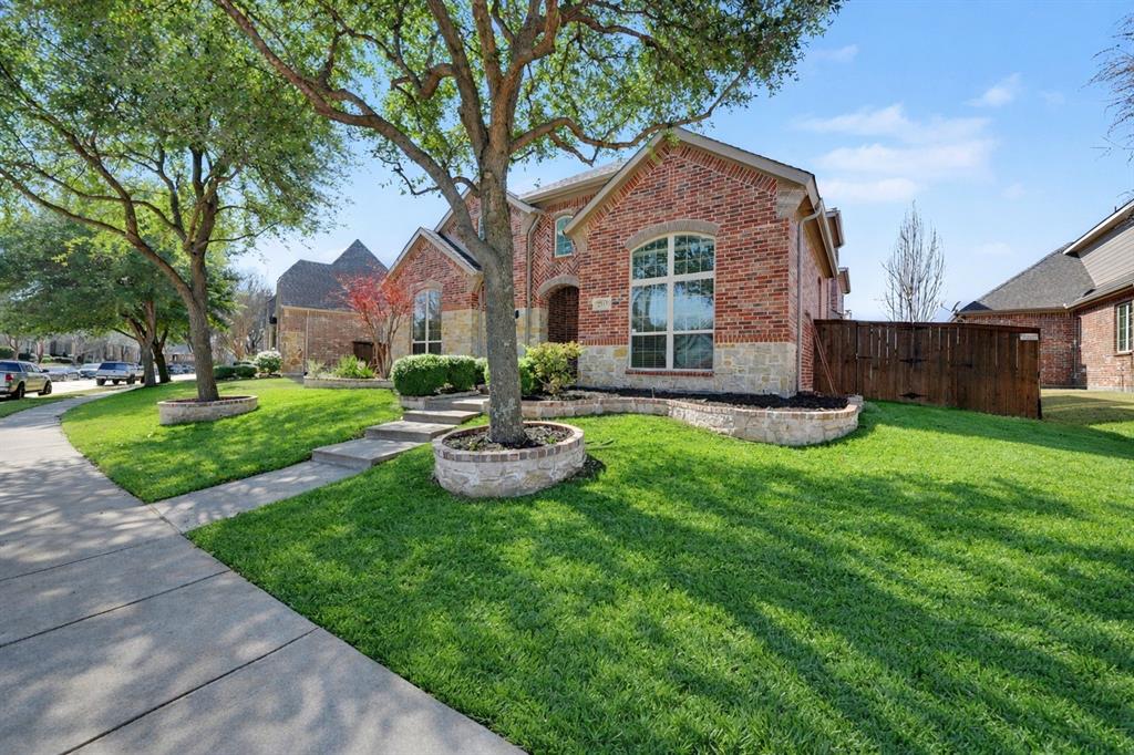 Discover an exceptional opportunity in one of Allen’s most coveted communities. This beautifully appointed home offers a versatile and highly desirable floorplan with four spacious bedrooms, four baths, a private office, and an additional bonus space perfect for home gym or a gameroom off the large media room, perfectly suited for today’s flexible lifestyle. A spacious two-car garage adds everyday practicality without compromising style.

Freshly updated and truly move-in ready, the interior showcases crisp white paint, plush new carpeting, and thoughtfully updated lighting that together create a bright, sophisticated, and welcoming atmosphere. At the heart of the home, the white kitchen shines with stainless steel appliances, abundant storage, and a functional design that balances beauty and ease for both daily living and entertaining.

Outdoors, the home continues to impress with a covered patio, extended seating area, and outdoor grill, creating a private setting ideal for relaxed evenings or hosting with ease.

Perfectly positioned just moments from Jenny Preston Elementary, this home offers convenient access to an impressive array of shopping, dining, and entertainment destinations, including Whole Foods, Costco, The Village at Allen, Allen Premium Outlets, and Watters Creek. Commuters will appreciate quick access to both US-75 and Sam Rayburn Tollway, while StarCreek residents enjoy resort-style amenities including two community pools, a clubhouse, walking trails, and beautifully maintained green spaces.

Meticulously cared for and ideally located, this home combines timeless comfort, thoughtful updates, and an exceptional lifestyle in one of Allen’s most desirable neighborhoods.