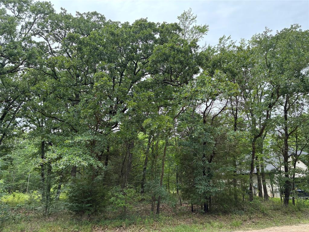 Beachwood Estates - Land