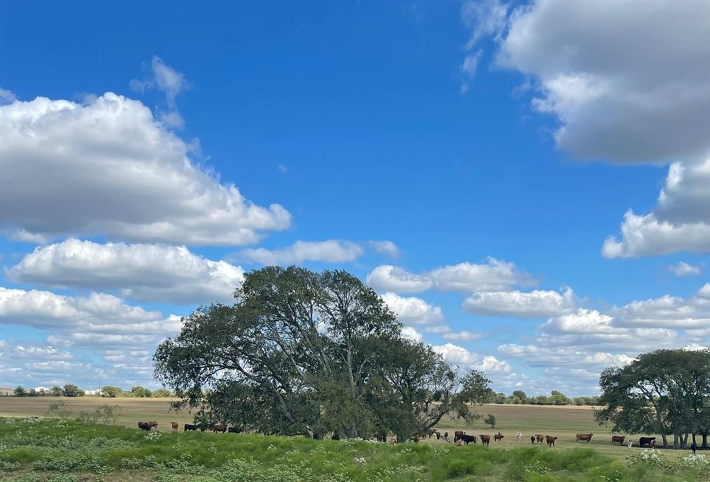 Hardin - Farm