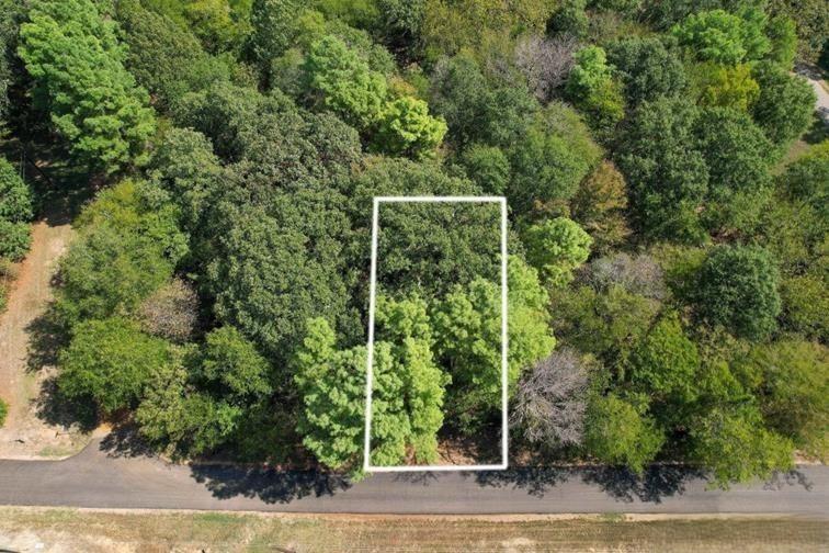 Tall Tree North - Land