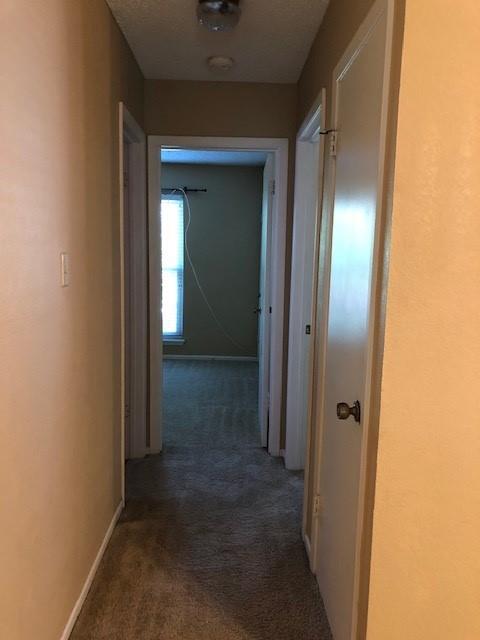 Canterbury Trales - Residential Lease