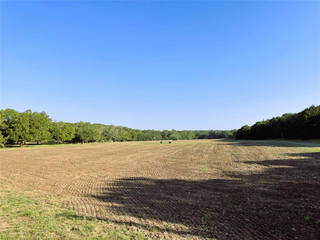 Unk - Farm