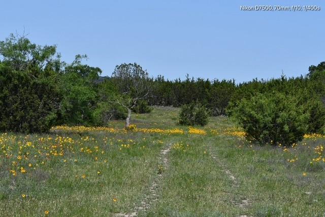 Dickson,William acres - Land
