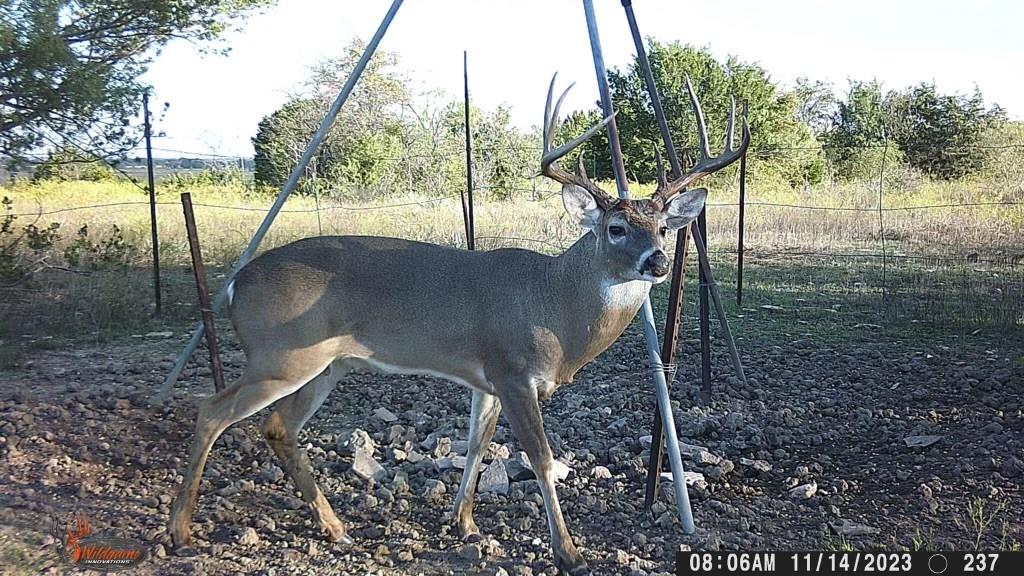 Dickson,William acres - Land
