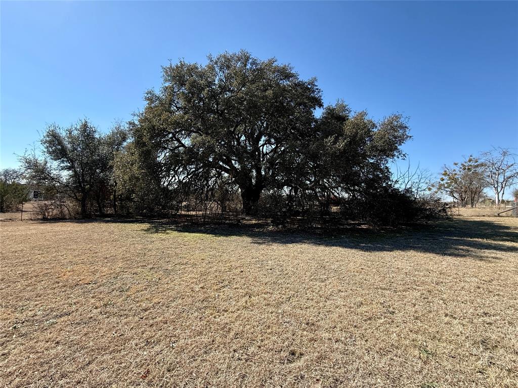 Beautiful lot with huge oak tree ready for your new home located just blocks from Beautiful downtown Hico. Come take a look, lot already has in place City water and electric