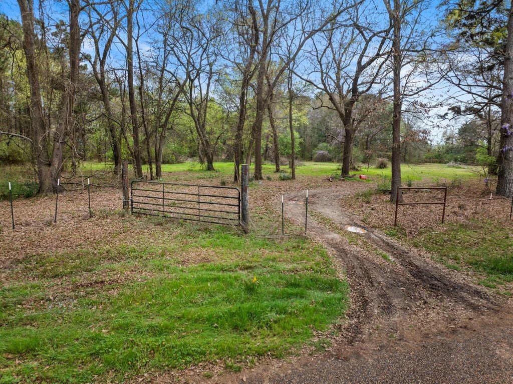 65.17 wooded acres located just off Highway 11 in Daingerfield. This beautiful country property offers privacy, natural scenery, and plenty of space to enjoy the outdoors. With multiple potential homesites, it's the perfect place to build your dream home, weekend retreat, or private getaway. The wooded landscape also provides great opportunities for hunting and recreation. Experience East Texas country living while still being conveniently located near town.