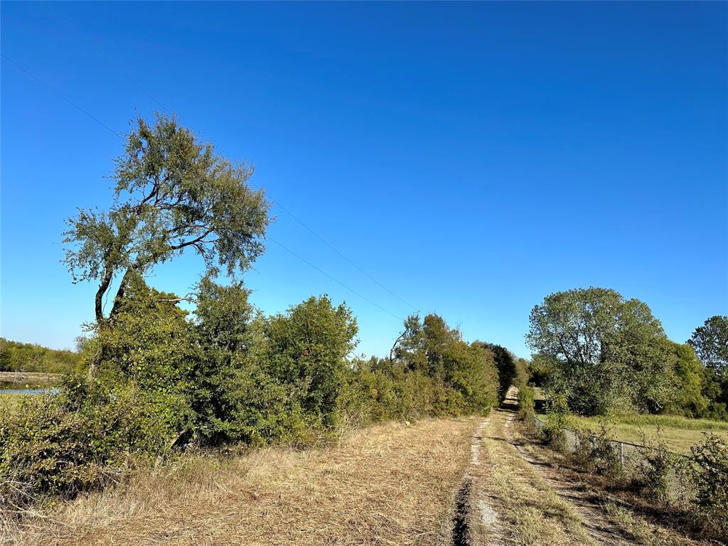 **Multiple Offers** Beautiful, secluded 5.3 Acre Property in Princeton, TX! So many options! Outside of city limits. Nestled aside Core of Engineer land and Lake Lavon. Utilities in place. Land is a flag lot so, lies off of the main busy road. Build your dream home, bring your animals, use for rental property or build an RV Park! Old brick home is likely a teardown or may have the possibility of renovation. Value is in the Land. Sign is located at Driveway. Sold AS IS