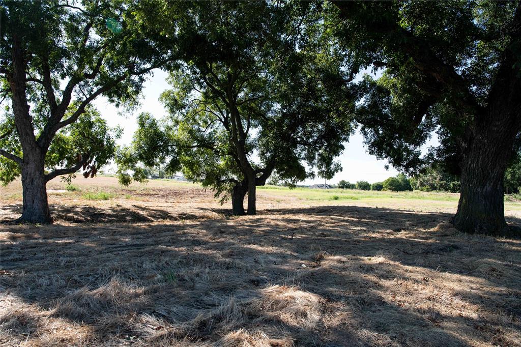 Mockingbird Meadow  Estates East - Land