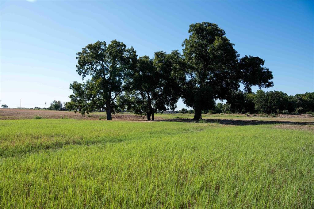 GREAT LOCATION of this 3.28 acre tract just South of Decatur between Decatur and Boyd. Small acreage tracts are hard to find and this one has a nice grove of trees overlooking the pond with a great building site. Mockingbird Meadow Estates East is a restricted subdivision with a mix of smaller and larger lots. The location allows easy access to 114 and 287. Decatur and Boyd have fun community events, lots of restaurants and shopping. Bring your own builder or let us help you find a local builder. Call to get started on your dream home. 911 address is 2160 CR 4371.