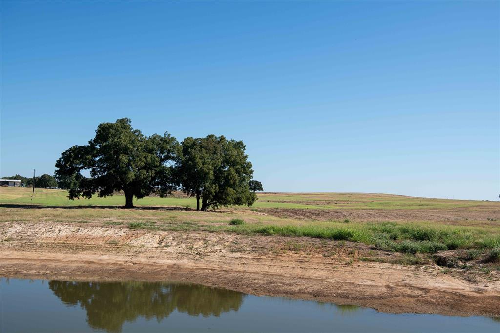 Mockingbird Meadow  Estates East - Land