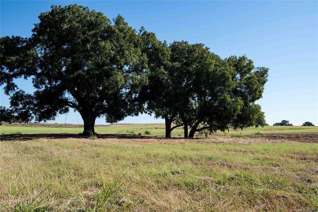 Mockingbird Meadow  Estates East - Land