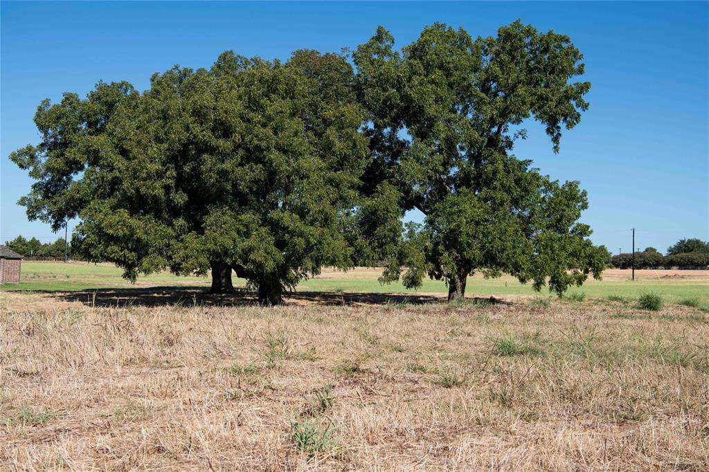 Mockingbird Meadow  Estates East - Land