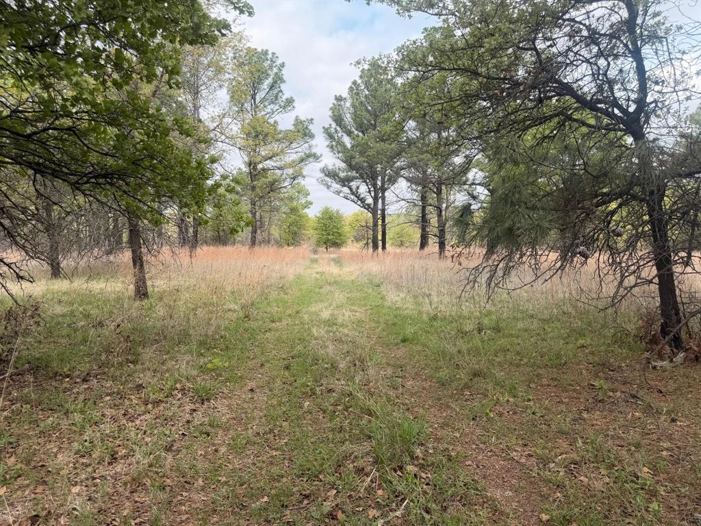 Block 84 of the Bell County School Land Survey - Land