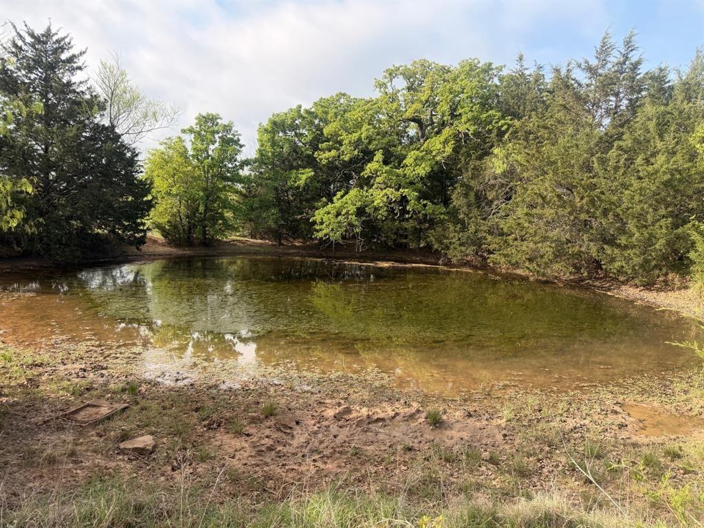 Block 84 of the Bell County School Land Survey - Land