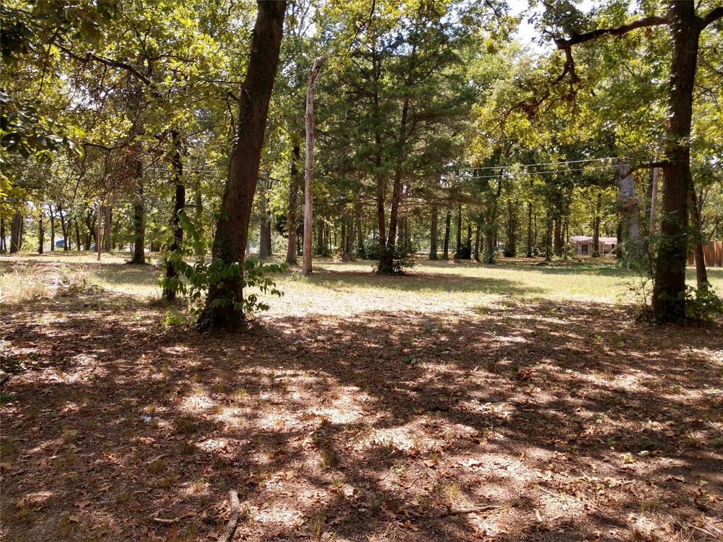 Build your dream home in this serene community! These two adjacent lots offer the perfect opportunity to create your ideal lifestyle. Mature trees throughout the property create a natural, peaceful setting while still allowing ample space for construction. 
2 LOTS BEING SOLD TOGETHER AS ONE LOT.  Lot 372 ( MLS 21228673  ) & Lot 373

PROPERTY HIGHLIGHTS:
* Beautiful mature trees
* Excellent building site
* HOA community
* All utilities available at street
* Lot 372 & Lot 373 will be sold together