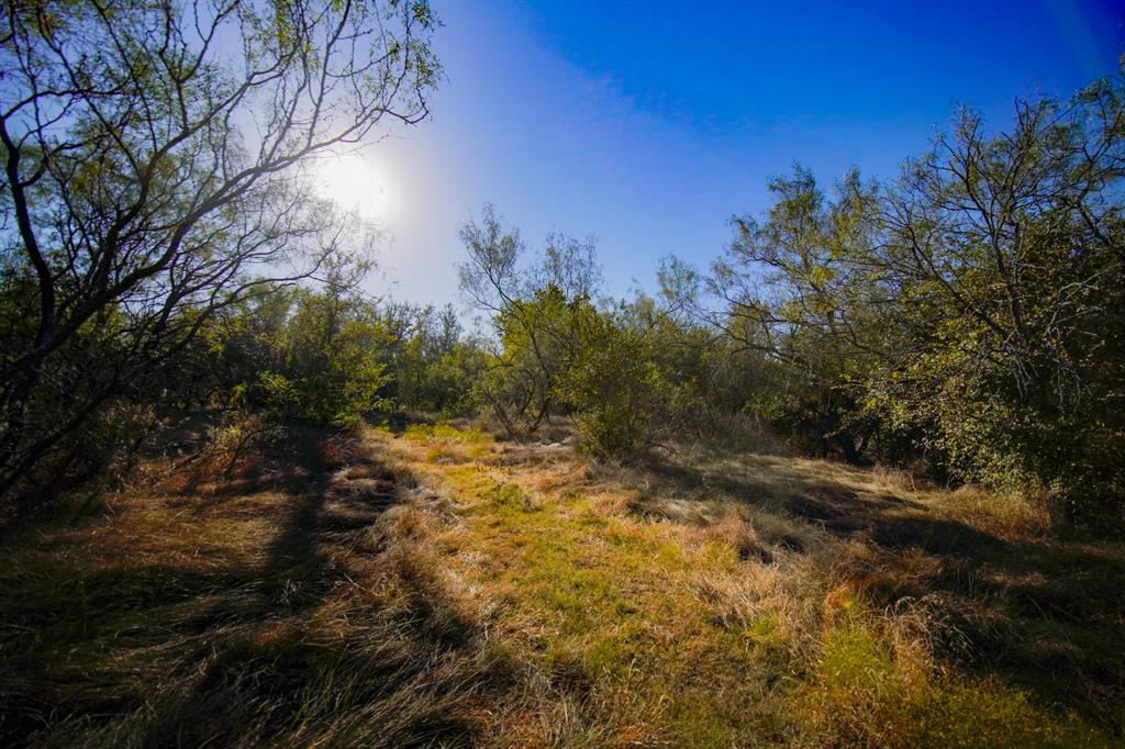 Jacksboro - Land