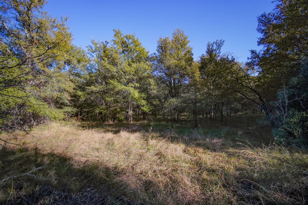 Jacksboro - Land