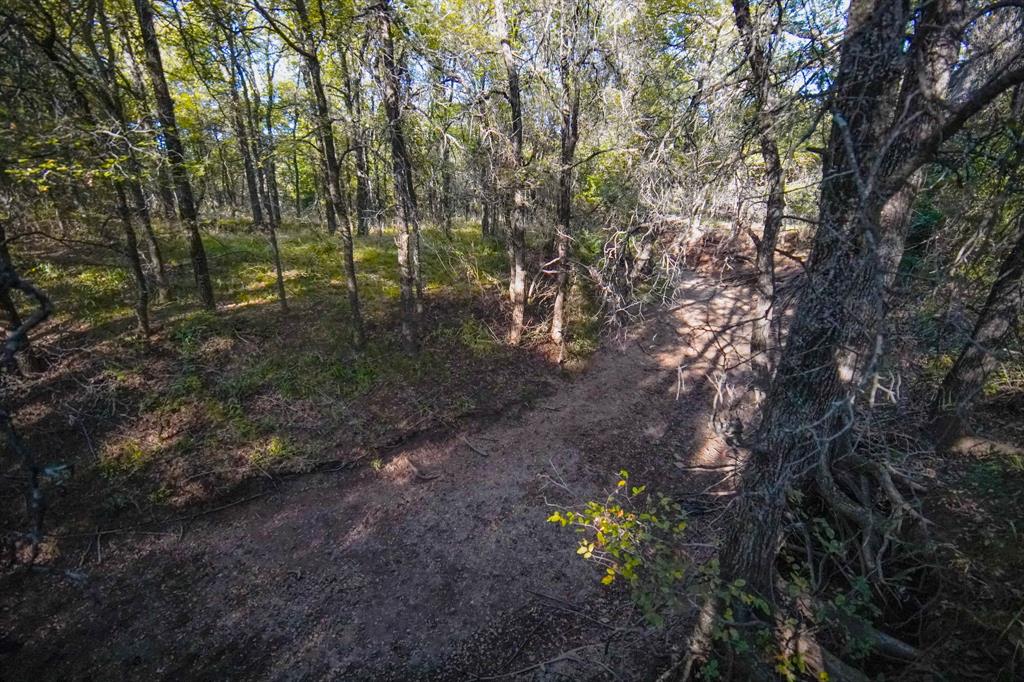 Jacksboro - Land