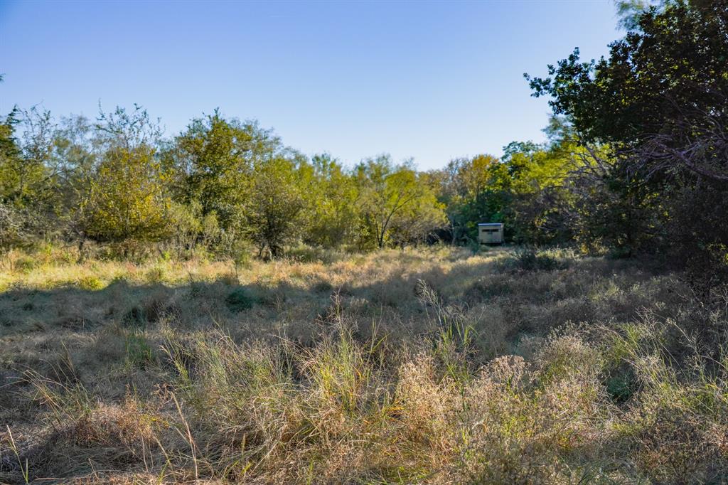 Jacksboro - Land