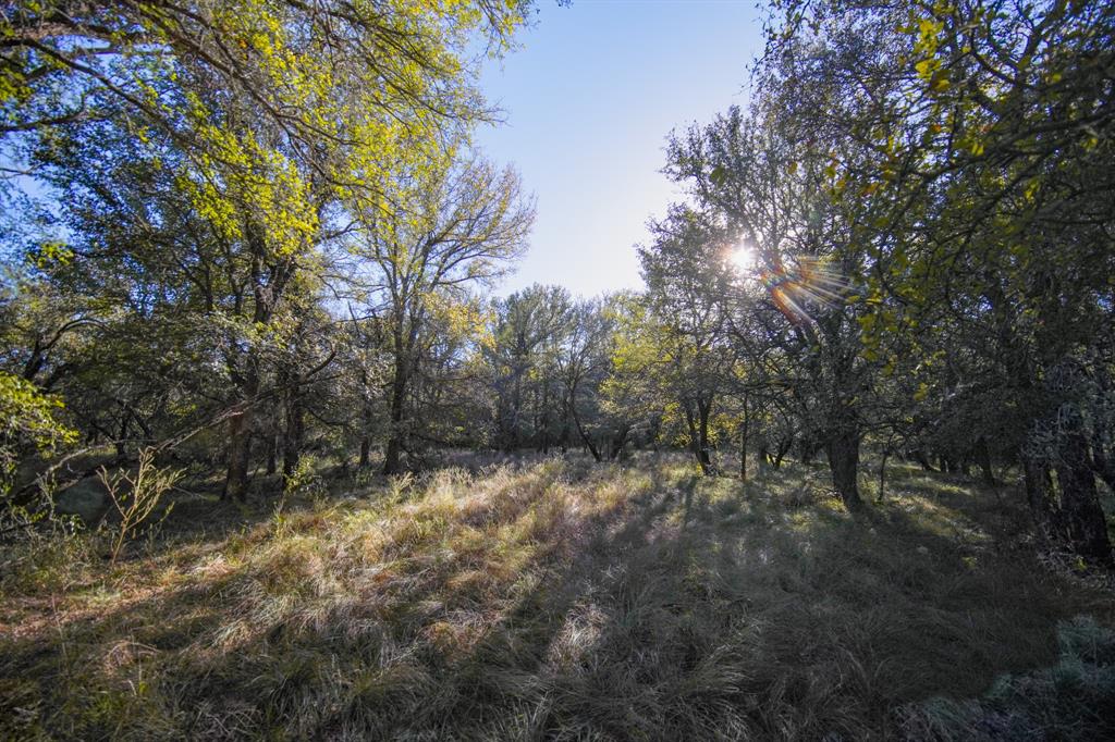 Jacksboro - Land