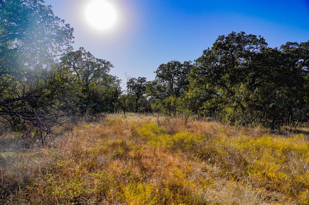 Jacksboro - Land