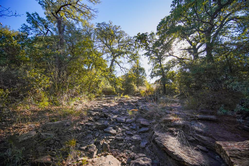 Jacksboro - Land