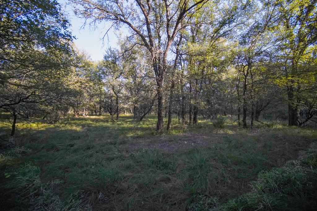 Jacksboro - Land