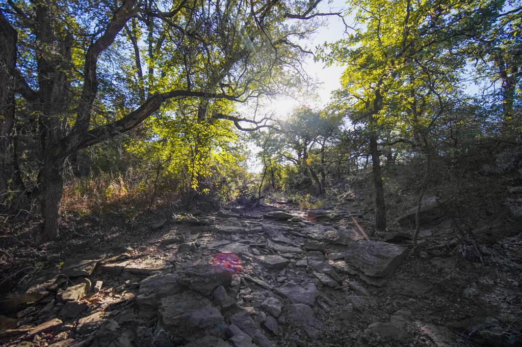 Jacksboro - Land