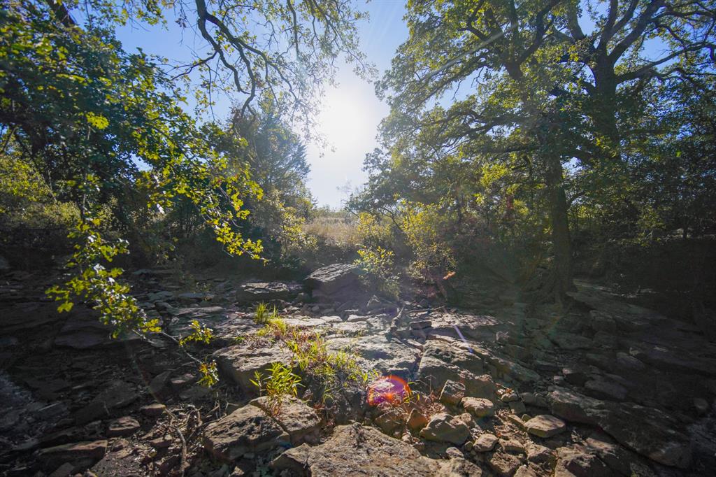 Jacksboro - Land