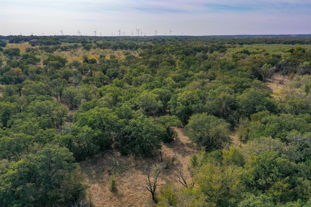 Jacksboro - Land