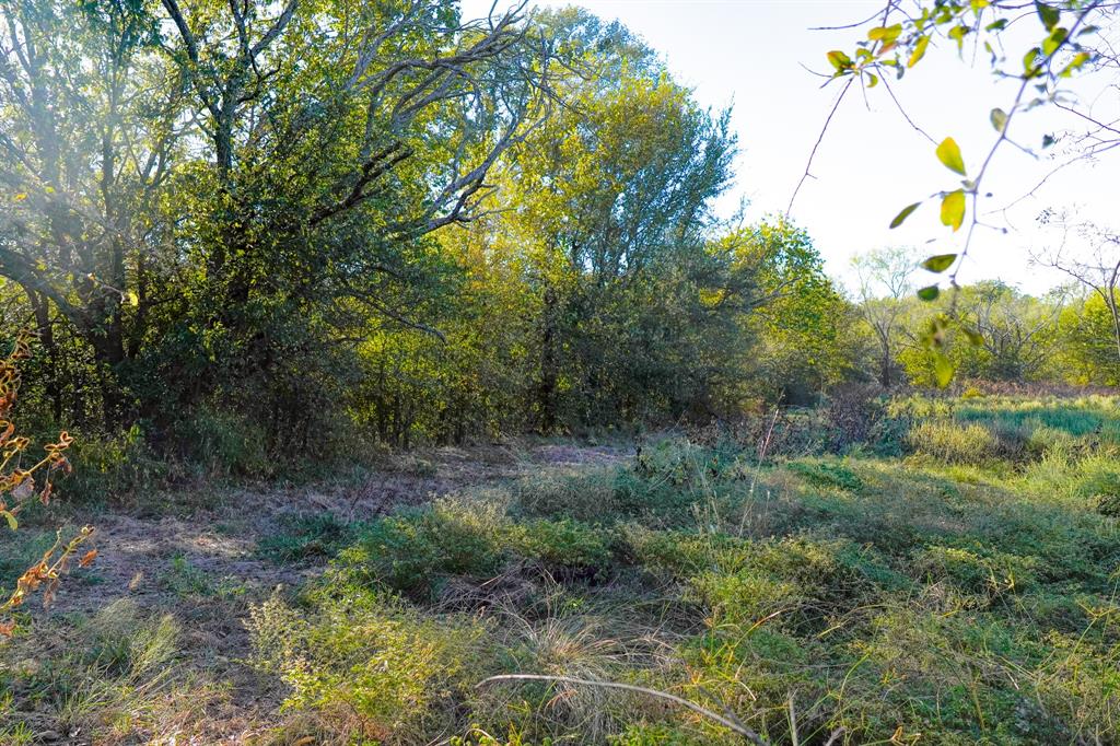 Jacksboro - Land