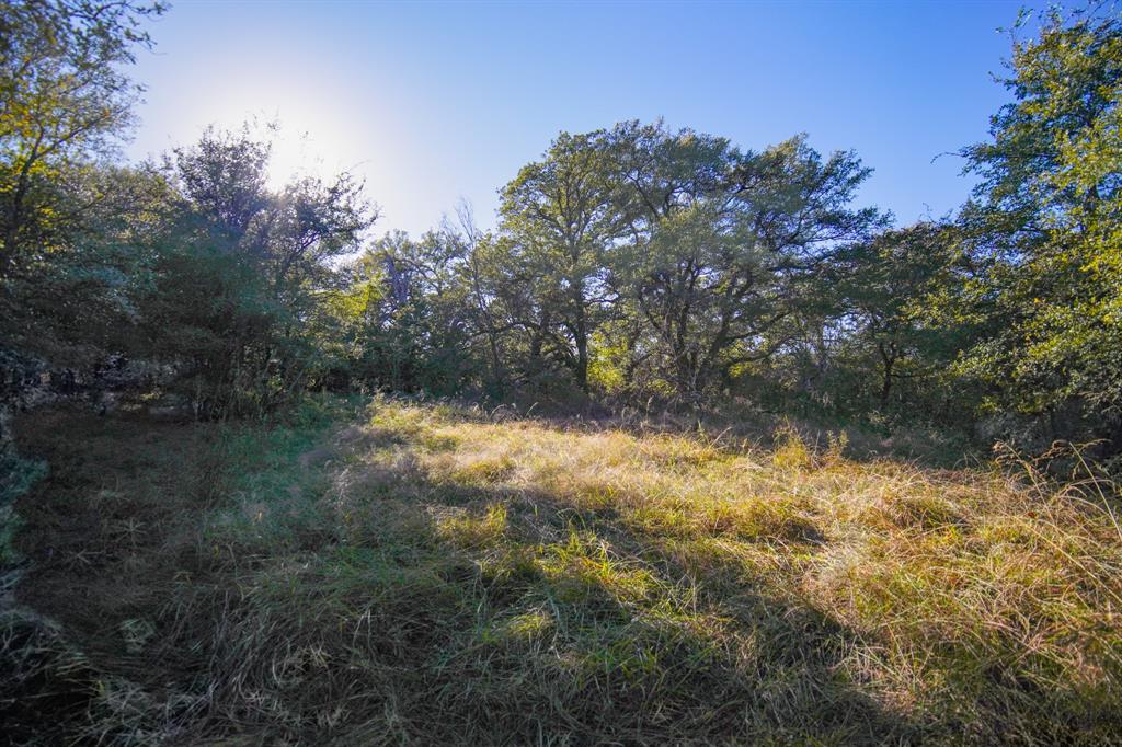 Jacksboro - Land