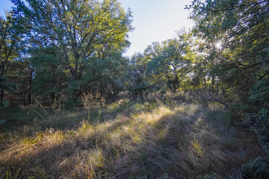Jacksboro - Land
