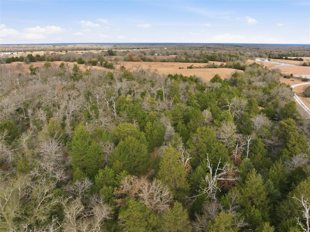 A004W J L Chavert-West, ACRES 30.19, M R PALACIOS - Land