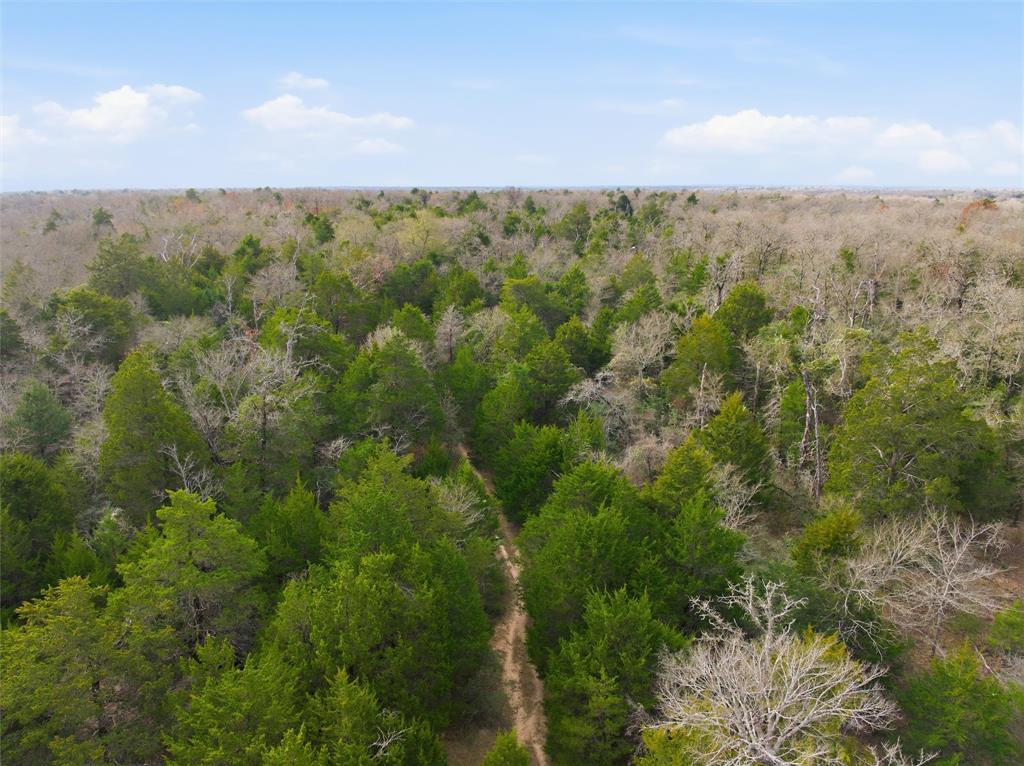 A004W J L Chavert-West, ACRES 30.19, M R PALACIOS - Land