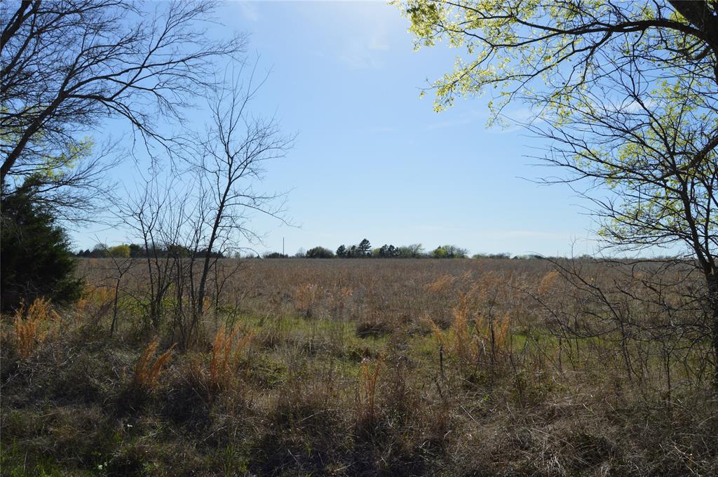 Eagles Path - Land
