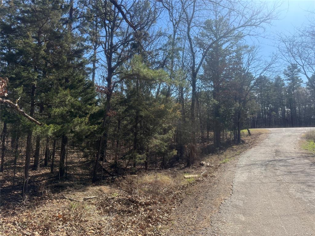 Choctaw Ridge #1 - Land