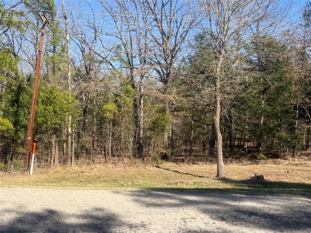 Choctaw Ridge #1 - Land
