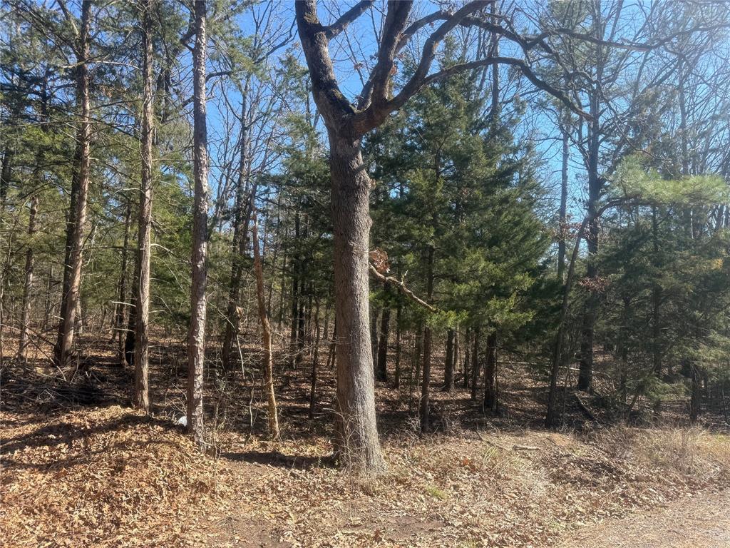 Choctaw Ridge #1 - Land