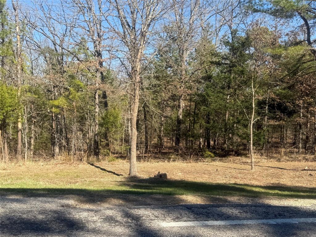 Choctaw Ridge #1 - Land